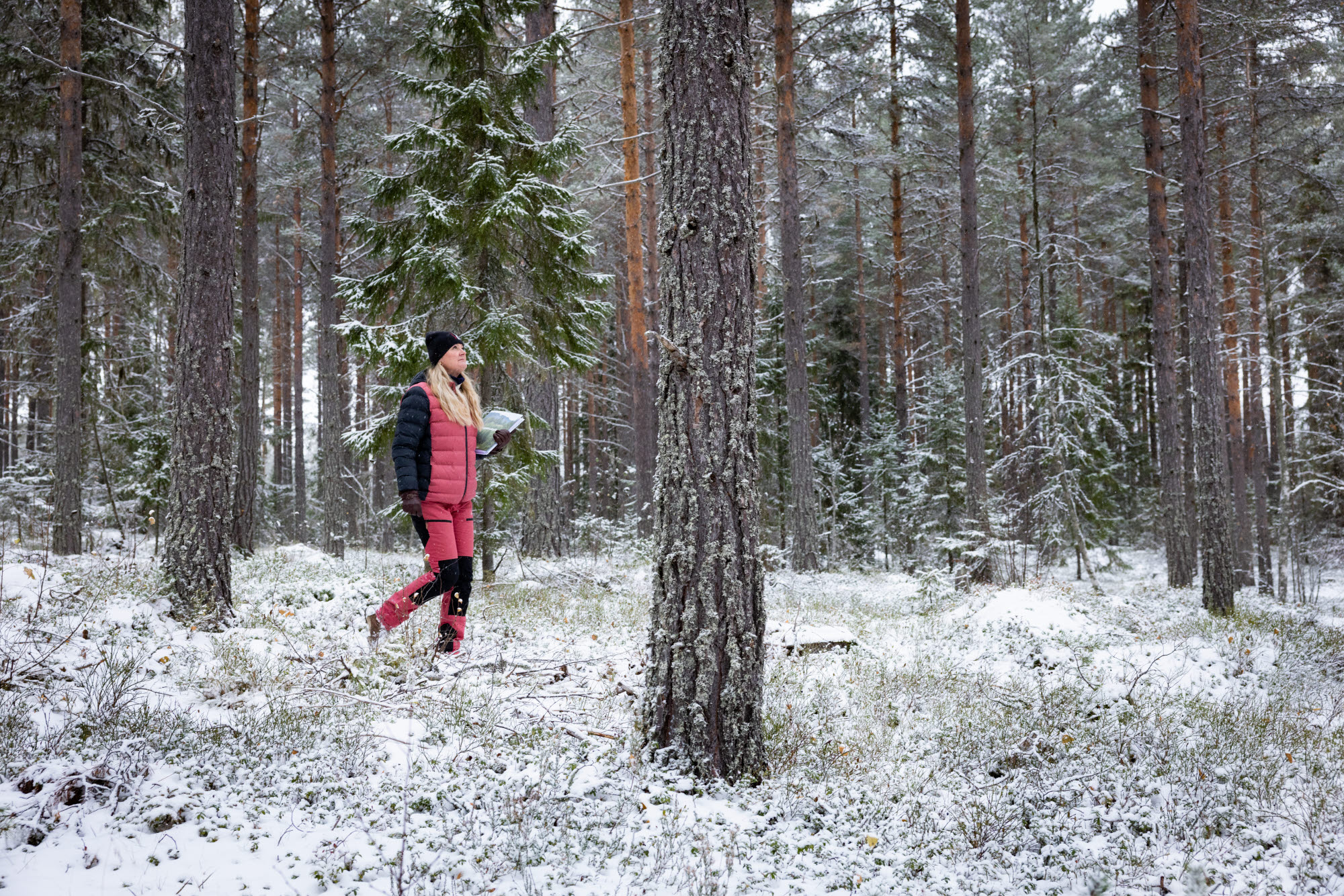 Maria Holmberg går i skogen